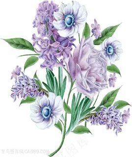 水彩花紫兰色绘画图片