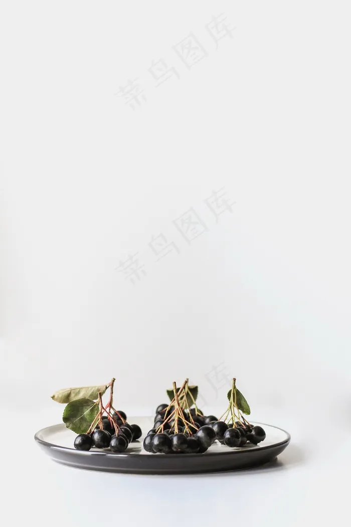 黑橄榄果图片