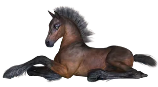 马动物免扣素材透明背景野马