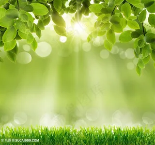 唯美夏季景色高清图片