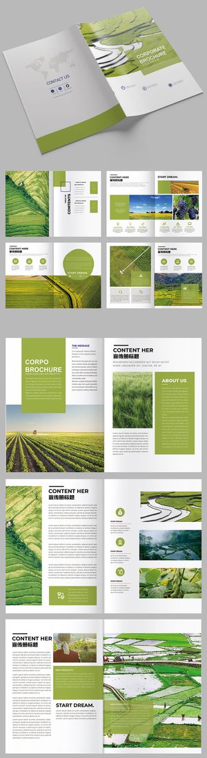 绿色农业画册排版水稻稻香农产品画册