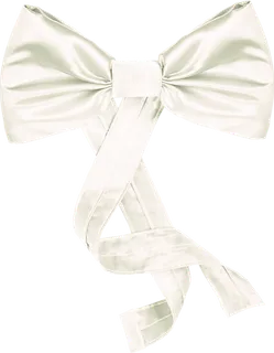 蝴蝶结白色丝带情人节