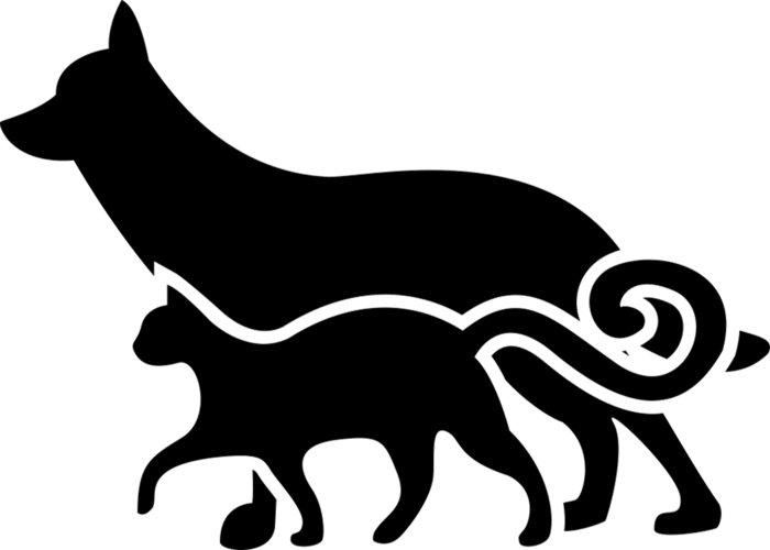 猫与狗乡村振兴