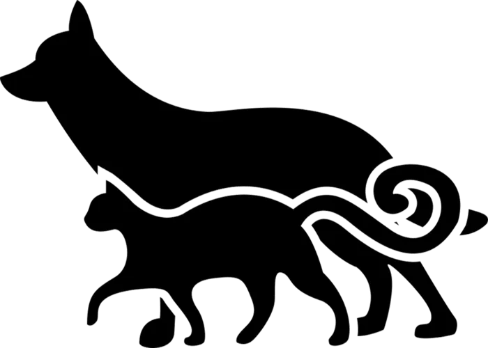 猫与狗乡村振兴