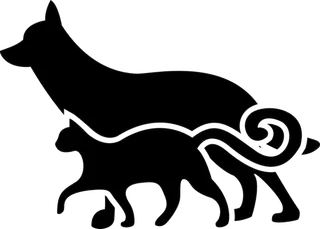 猫与狗乡村振兴