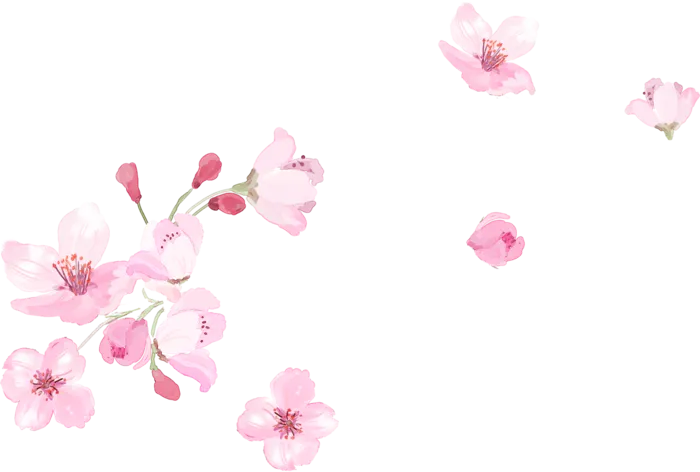 粉色简约风手绘鲜花花朵水墨画PNG素材图片 (123)
