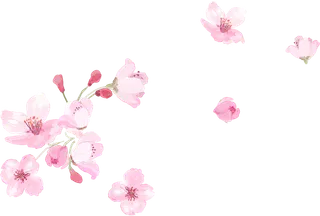 粉色简约风手绘鲜花花朵水墨画PNG素材图片 (123)