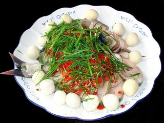 0395开屏武昌鱼1