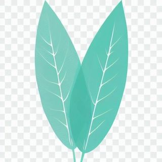 2片叶子手绘卡通png免抠