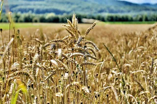 风景 天空 旅行美丽 (131)