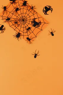 橙色背景上的黑色蜘蛛图片 橙色背景上的黑色蜘蛛图片