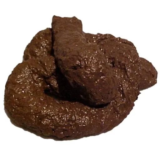 大便 PNG免抠(600x600)