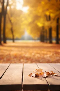 秋天的落叶落在公园*的一张木凳上摄影图