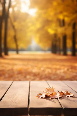 秋天的落叶落在公园*的一张木凳上摄影图