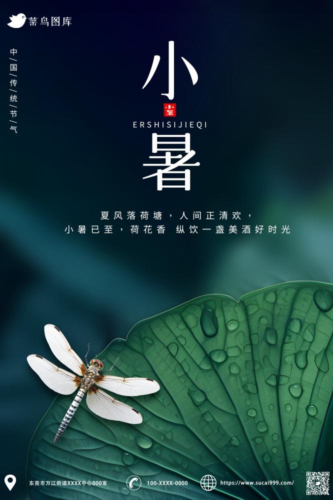 小暑节气荷叶蜻蜓简约海报