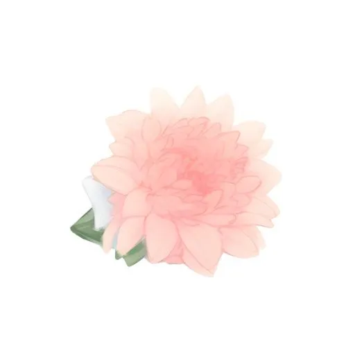 鲜花花束免抠(2048x2048)