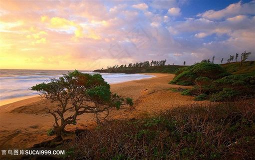 唯美湖畔风景画