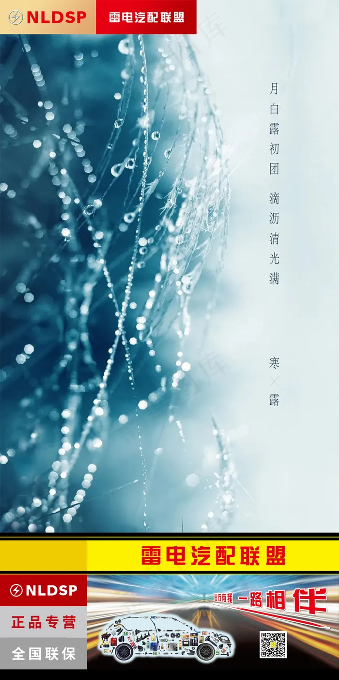 寒露节气海报