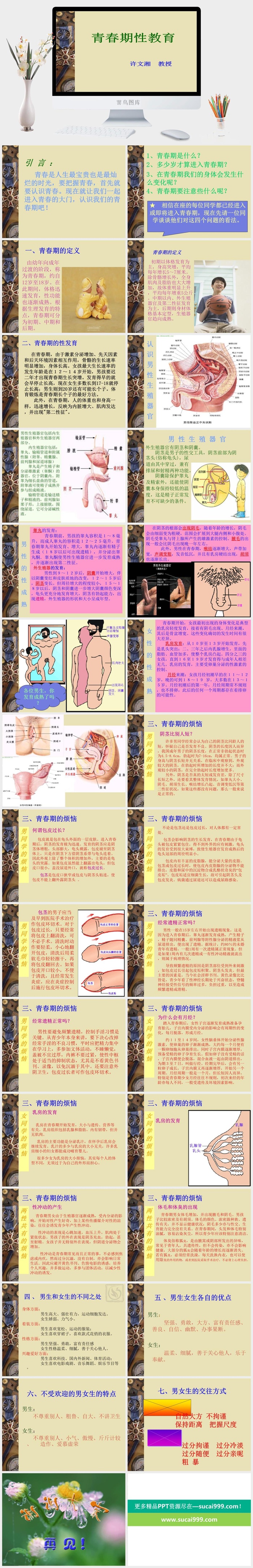 性教育PPT模板