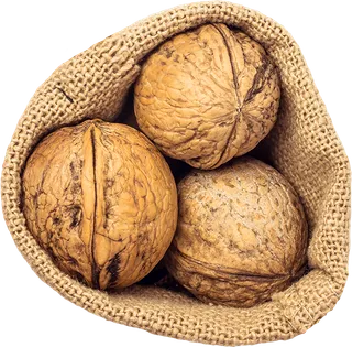 05_Walnuts Bag