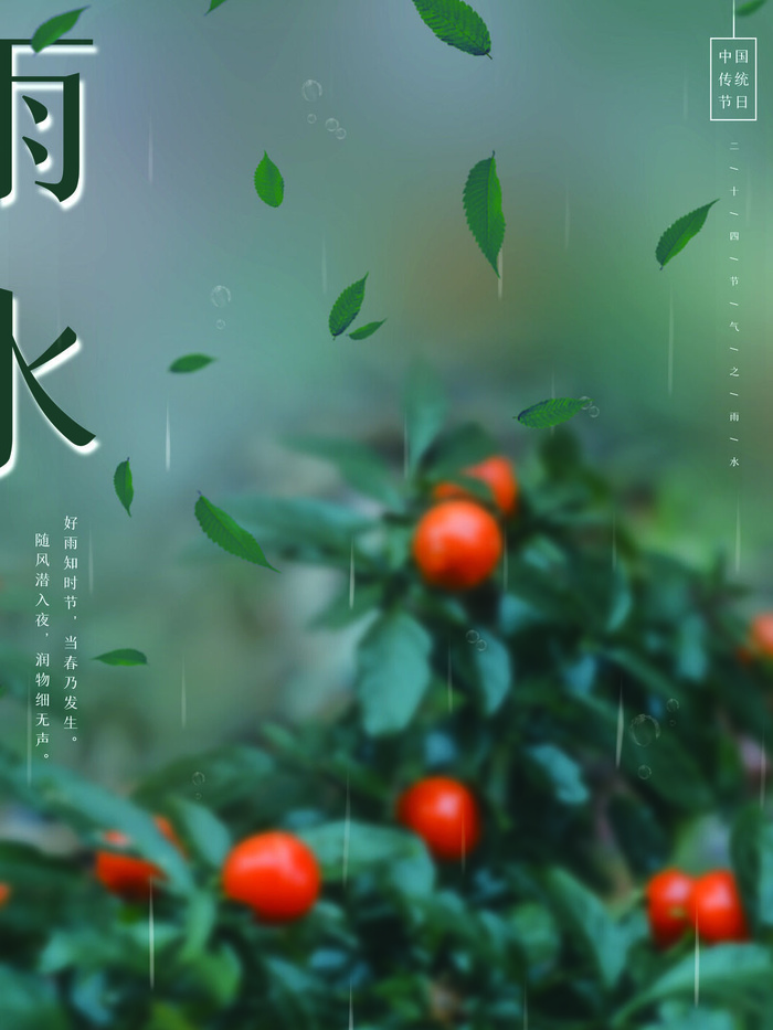创意24节日二十四节气雨水春节春天宣传祝福海报模板PSD设计素材psd模版下载