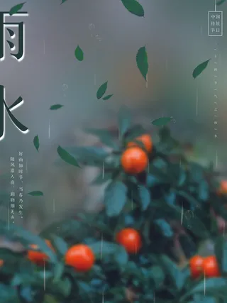 创意24节日二十四节气雨水春节春天宣传祝福海报模板PSD设计素材