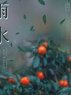 创意24节日二十四节气雨水春节春天宣传祝福海报模板PSD设计素材 创意24节日二十四节气雨水春节春天宣传祝福海报模板PSD设计素材