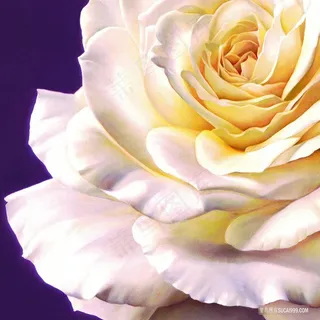 唯美花朵高清插画