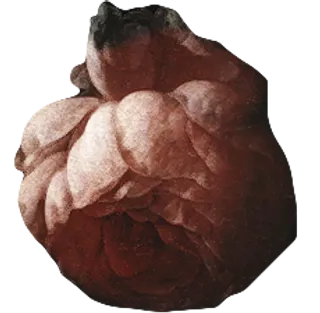 复古油画质感宫廷花卉植物花朵鲜花拼贴图案PNG免抠图片设计素材