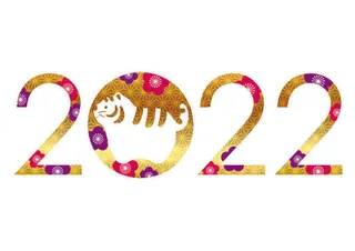 2022创意艺术字体新年虎年圣诞节数字立体质感文字AI矢量设计素材
