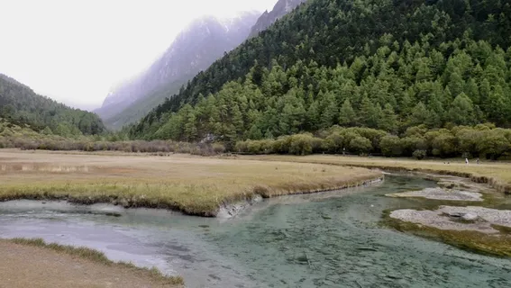 亚丁洛绒牛场草地雪山融水