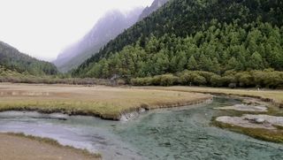 亚丁洛绒牛场草地雪山融水