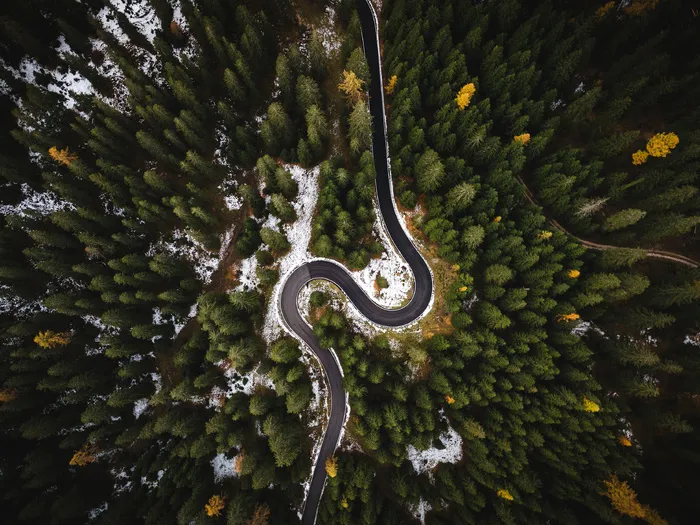 高清森林树林道路