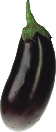 茄子PNG图像免费下载免抠(1271x2974)