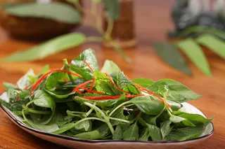 L02293荆芥拌食香 (1)