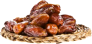 海枣免抠素材 (9)