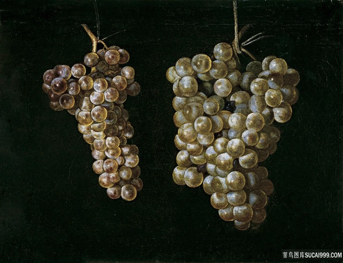 两种葡萄品种静物油画