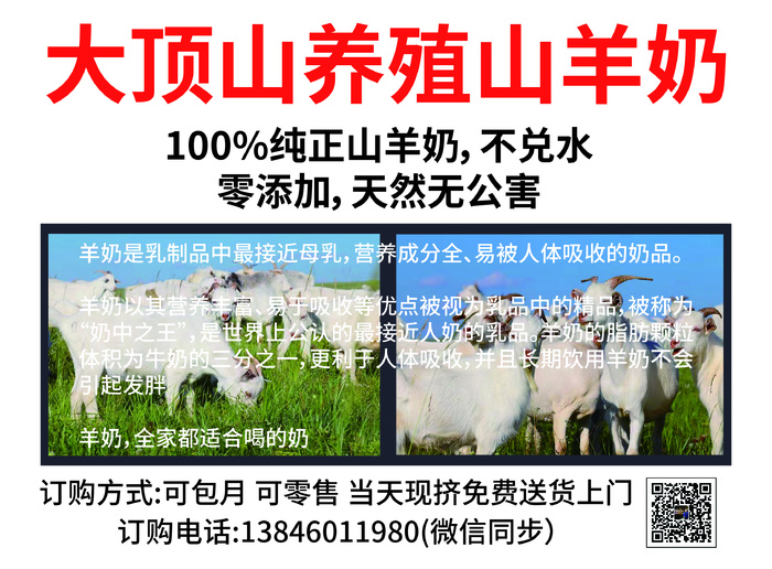 山羊奶海报