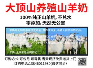 山羊奶海报