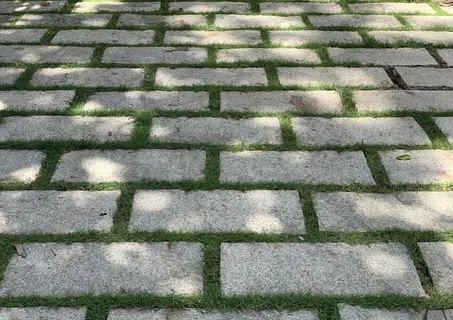 草坪石板路图片 草坪石板路图片