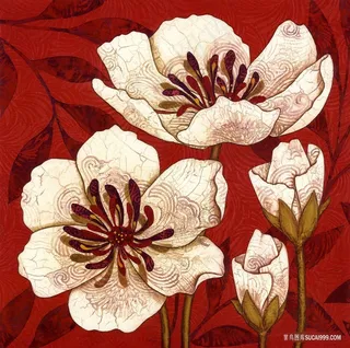 唯美花卉艺术插画