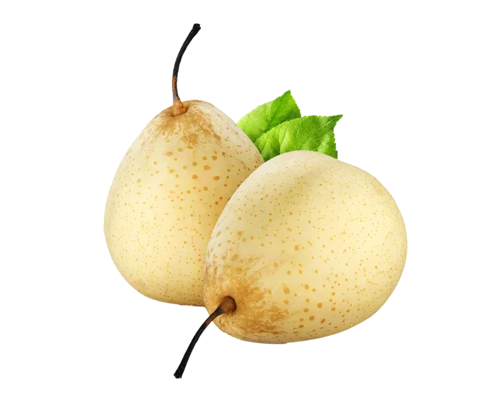 梨 (9)水果超市商品白底图免抠实物摄影png格式图片透明底