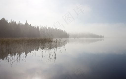 风景 景观 夕阳 黄昏 航拍风景 森林