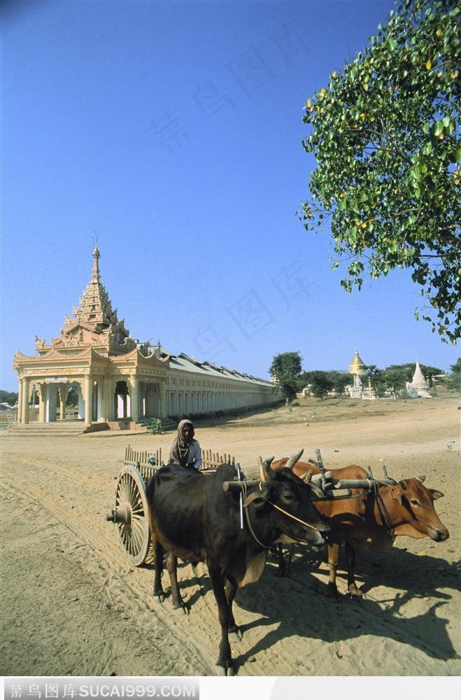 国外建筑风格-房屋与牛车