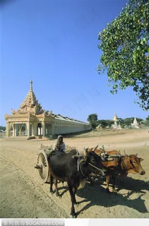 国外建筑风格-房屋与牛车