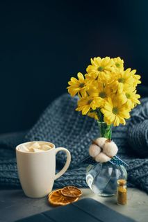 圣诞节圣诞牛奶棉花糖装饰元素静物特写场景(104)