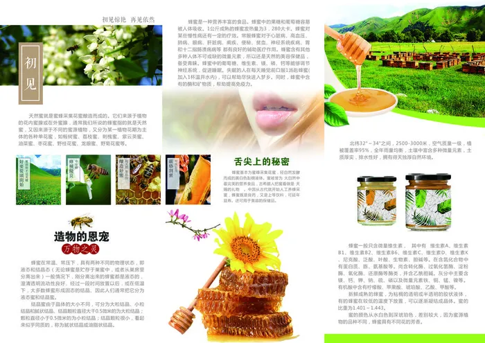 简约风蜂蜜宣传三折页正面psd模版下载
