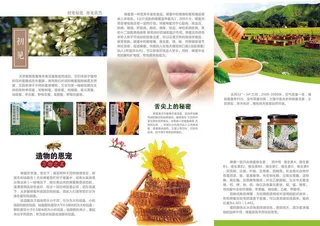 简约风蜂蜜宣传三折页正面