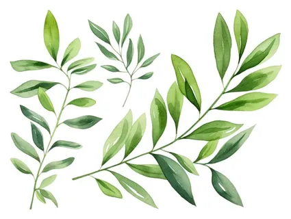 绿叶植物树叶茶壶免抠