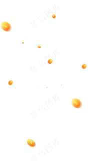 长屏金币png